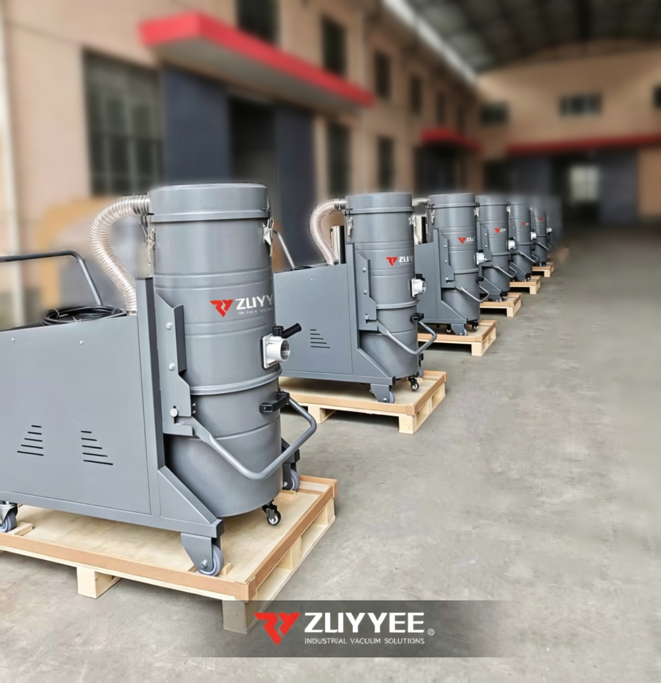 Non-stop Daily Shipments